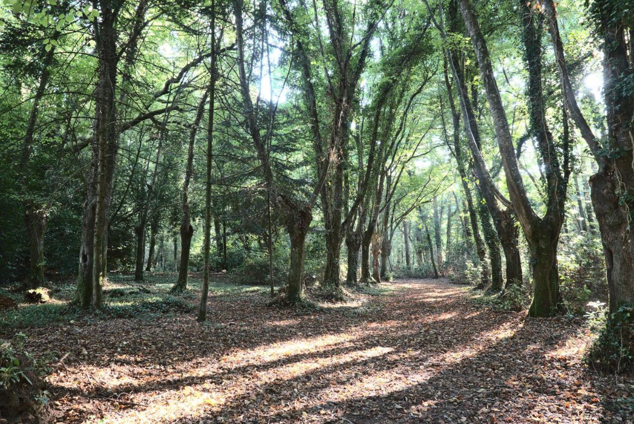 Manoir De Kerguestenen Gestel Εξωτερικό φωτογραφία